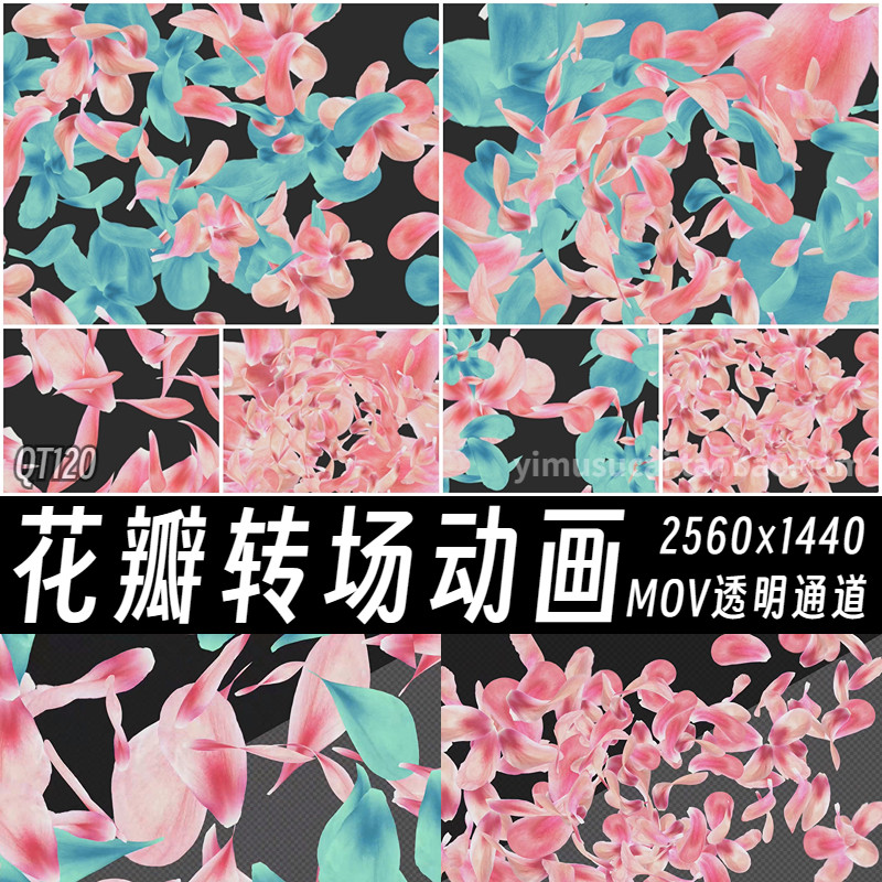 12款花朵花瓣小花转场过渡mov透明通道Ae特效fcpx剪映Pr视频素材