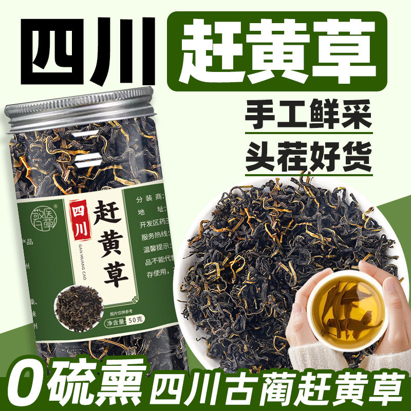 赶黄草正品四川古蔺护养茶罐装特非级非养生茶中式药材泡水喝的