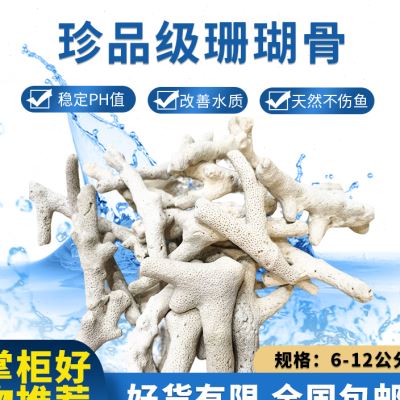 优选大珊瑚骨滤材优质天然珊瑚石鱼缸过滤材料水族箱净水造景专用 宠物/宠物食品及用品 过滤材料 原图主图