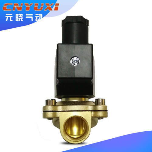 户外防水IP65电磁阀 2W-160-15D 2W-200-20D水阀4分 6分 1寸220V