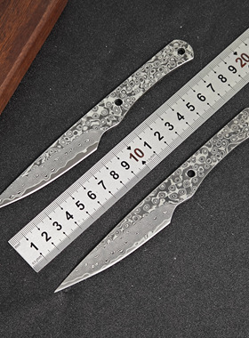 全新67层大马士革夹10CR15钢水果刀胚外贸正品户外吃肉便携小直刀