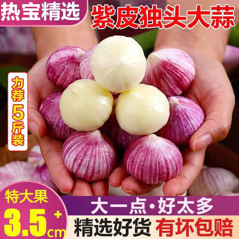 2026年紫皮独头蒜干蒜
