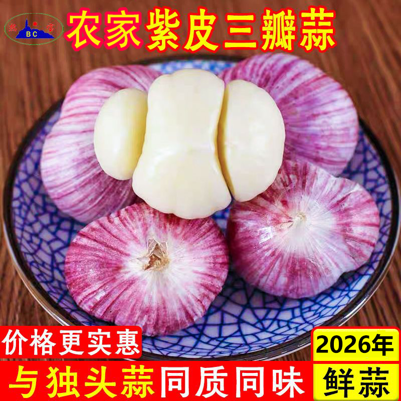 农家正宗紫皮三瓣蒜新大蒜鲜蒜现挖湿蒜新鲜三丫蒜红皮蒜当季蔬菜,水产肉类/新鲜蔬果/熟食,大蒜,淘宝优惠券,粉丝福利购,淘宝优惠卷