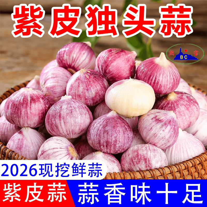 2026年紫皮独头蒜新鲜独头蒜现挖湿蒜头红皮蒜当季新大蒜鲜蒜蔬菜
