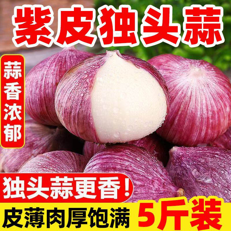 热宝/BC 独头蒜红皮蒜紫皮大蒜批发新鲜湿蒜现挖独头鲜蒜蔬菜