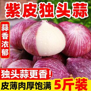 热宝 BC云南独头蒜红皮蒜紫皮大蒜批发农家自种晒干独头干蒜蔬菜