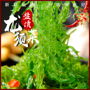 霞浦盐渍龙须菜新鲜海藻海发菜海草鹿角菜凉拌火锅煮汤食材石花菜