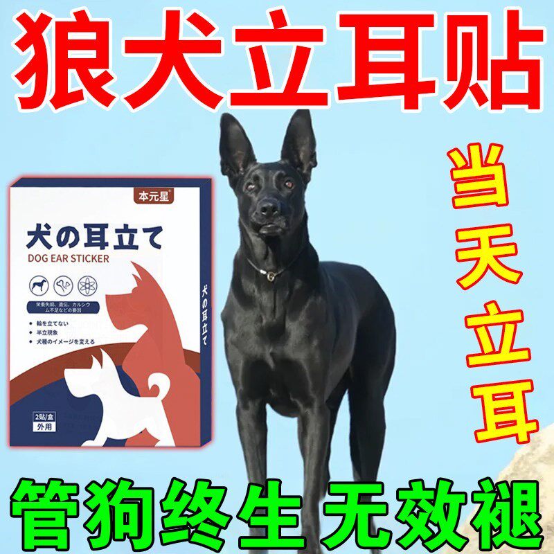 狗狗立耳贴神器黑狼犬小狗立耳辅助器德牧杜宾犬雪纳瑞耳朵固定器