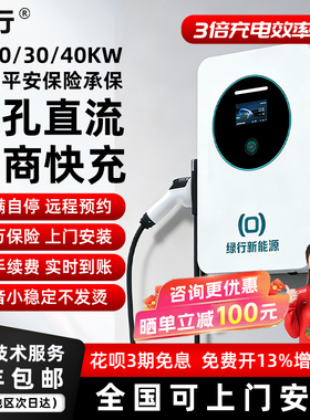 绿行直流汽车充电桩7kw20新能源家用9孔九380V快充枪随车充红旗