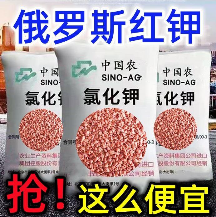 正品钾肥俄罗斯进口高钾