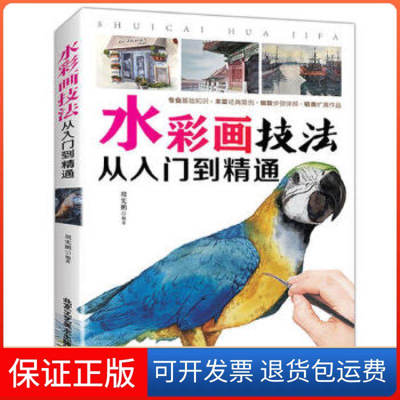 【保正版】水彩画技法从入门到精通无北京工艺美术出版社9787514013689