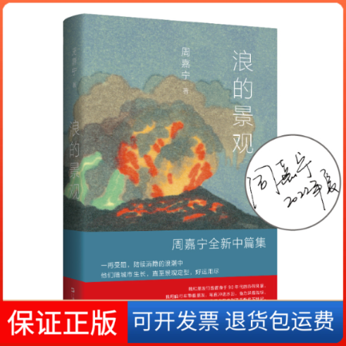 【保正版】浪的景观周嘉宁 著上海文艺出版社9787532182244