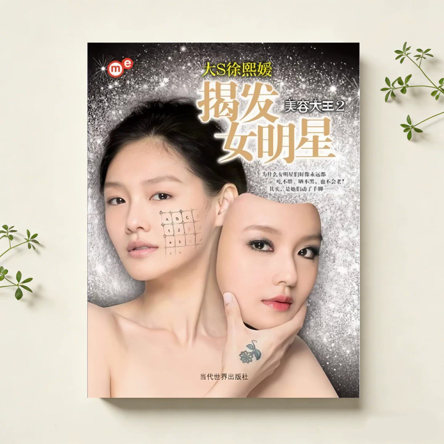 揭发女明星美容大王2徐熙媛著