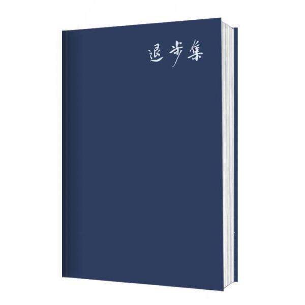 正版书】退步集 陈丹青 著  广西师范大学出版社
