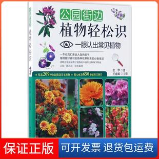 【保正版】公园街边植物轻松识：一眼认出常见植物张华中国水利水电出版社9787517049951