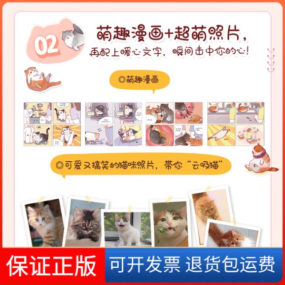 【保正版】新手养猫指导手册 从读懂猫咪心理到温暖相伴一生曾莉,绘月工坊人民邮电出版社9787115581006