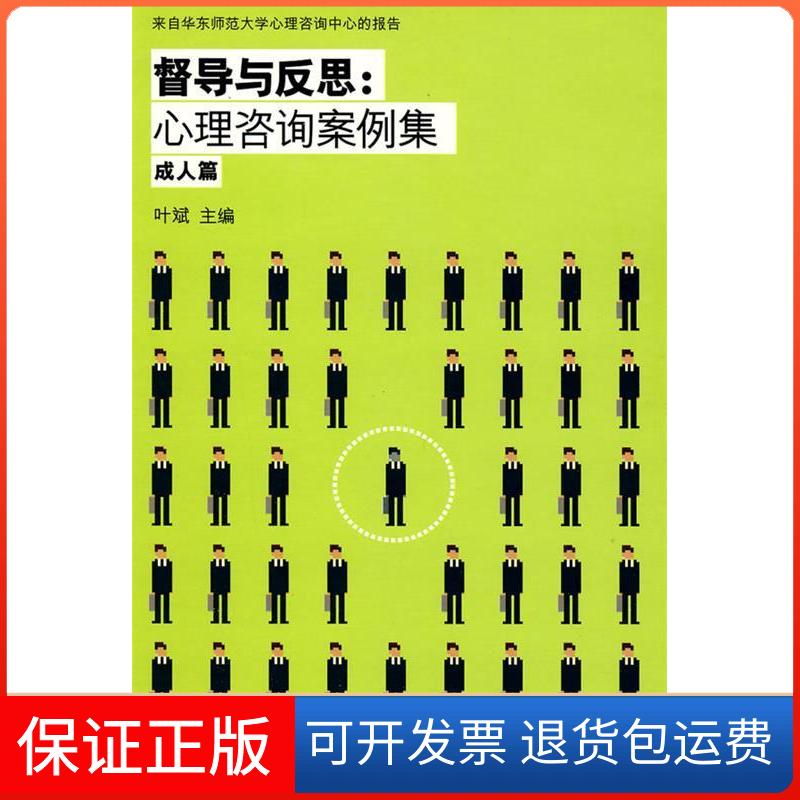 【保正版】督导与反思:心理咨询案例集(成人篇)叶斌华东师范大学出版社9787561770887