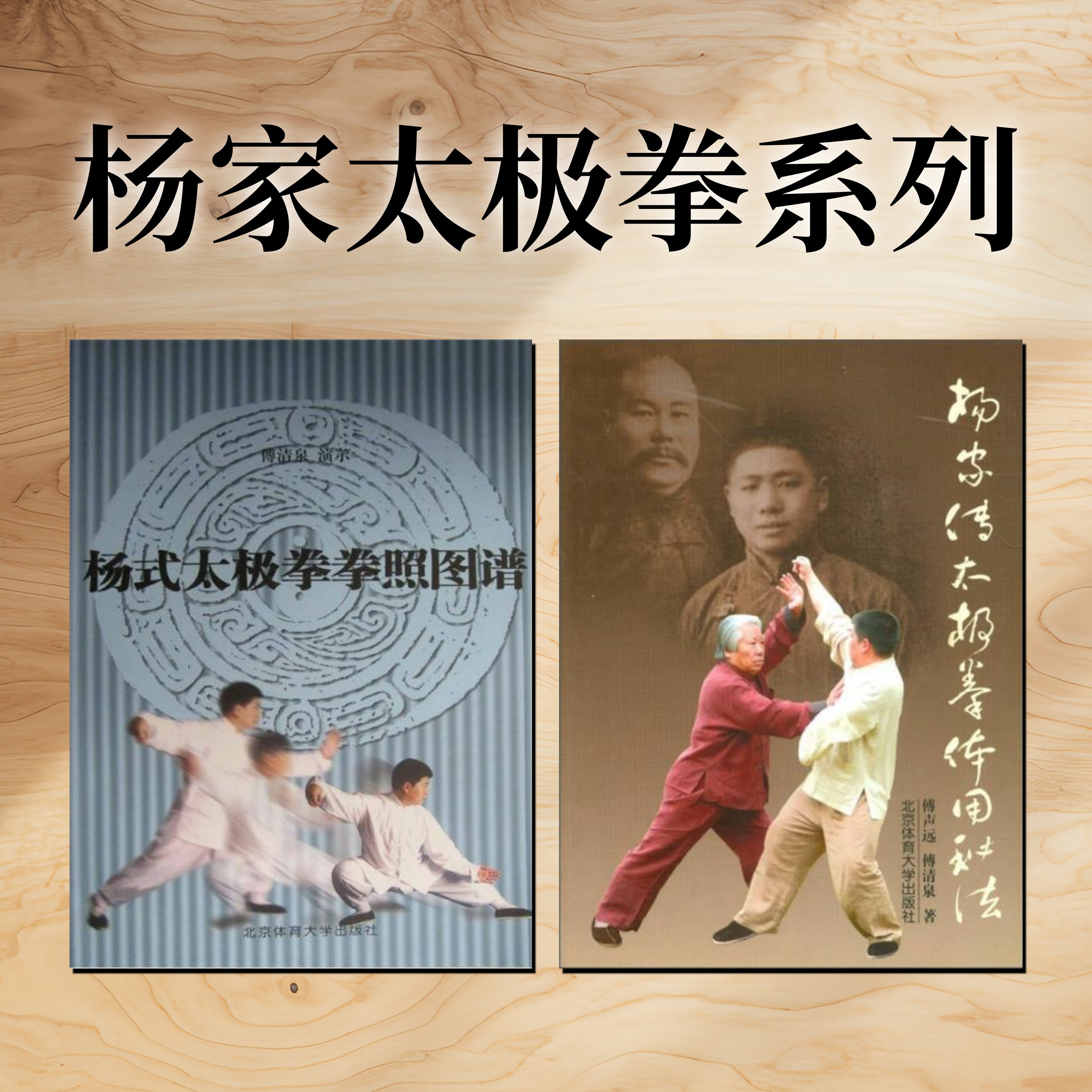 杨家太极拳系列作品合集全2册