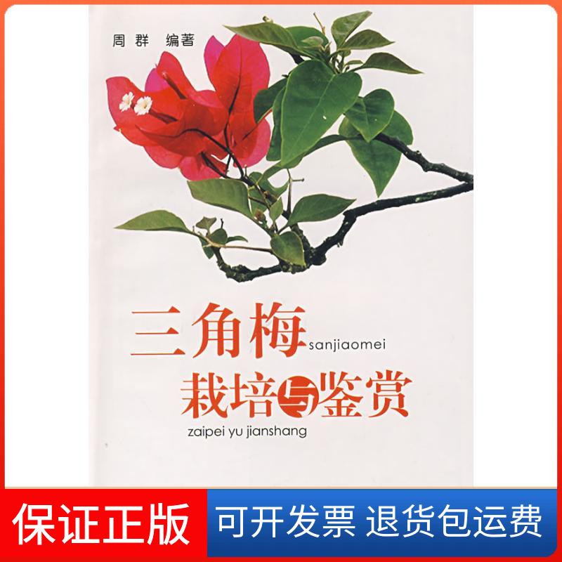 【保正版】三角梅栽培与鉴赏周群 著作 周群 编者金盾出版社9787508259239