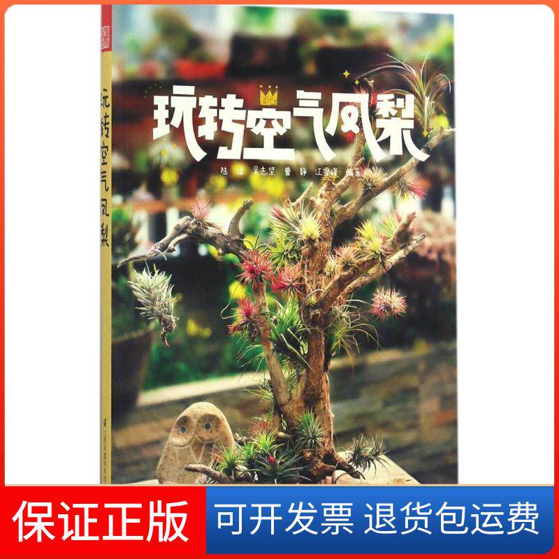 【保正版】玩转空气凤梨陆遥吴志坚曹静江雪峰江苏凤凰科学技术出版社
