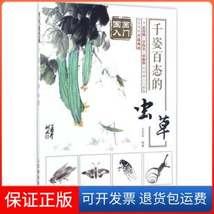 【保正版】千姿百态的虫草王忠富人民邮电出版社9787115453389