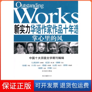 风王小王时代文艺出版 新实力华语作家作品十年选掌心里 社 保正版