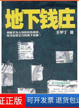 【保正版】地下钱庄壬甲丁武汉出版社9787543063761