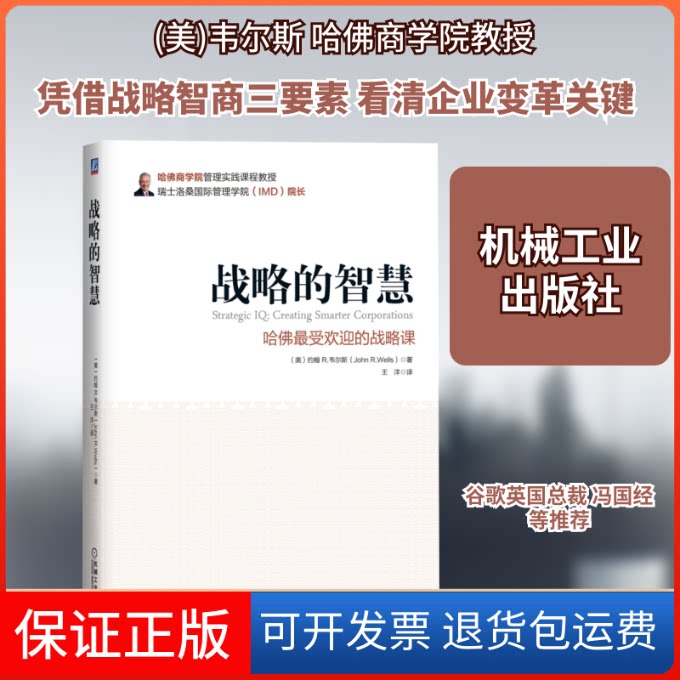 【保正版】战略的智慧(美)韦尔斯 著 王洋 译机械工业出版社9787111432630