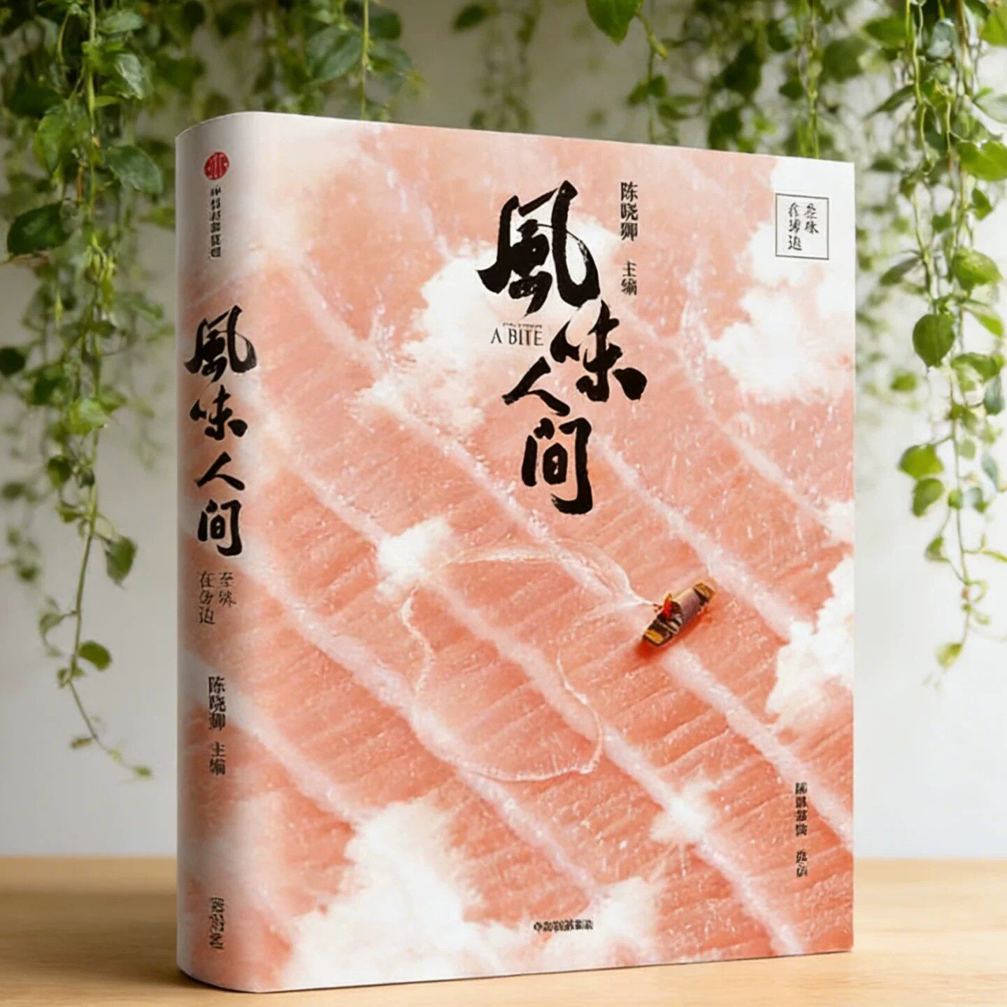 风味人间至味在身边陈晓卿著