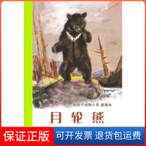 【保正版】月轮熊（日）椋鸠十 著 奚燕凤 王晶晶 译二十一世纪出版社9787539150673