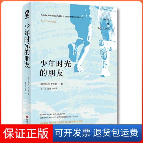 【保正版】少年时光的朋友(印)阿米特·乔杜里(Amit Chaudhuri) 著 曾文华,王莅 译四川文艺出版社9787541151248