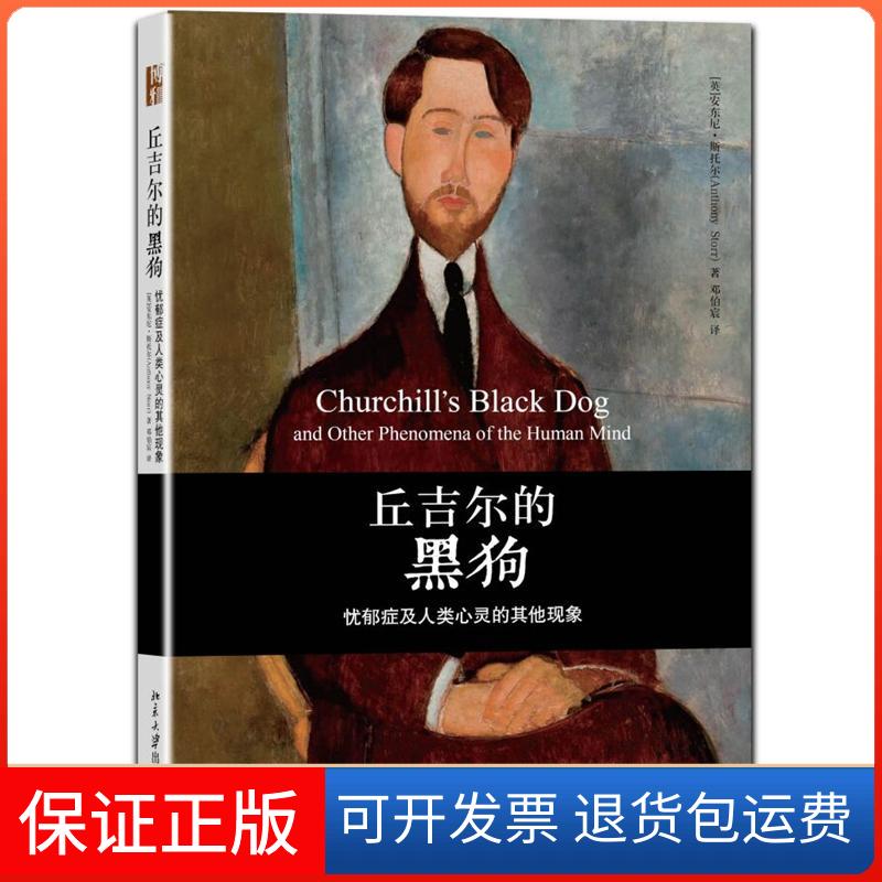 【保正版】丘吉尔的黑狗Anthony Storr 著 邓伯宸 译北京大学出版社9787301199848