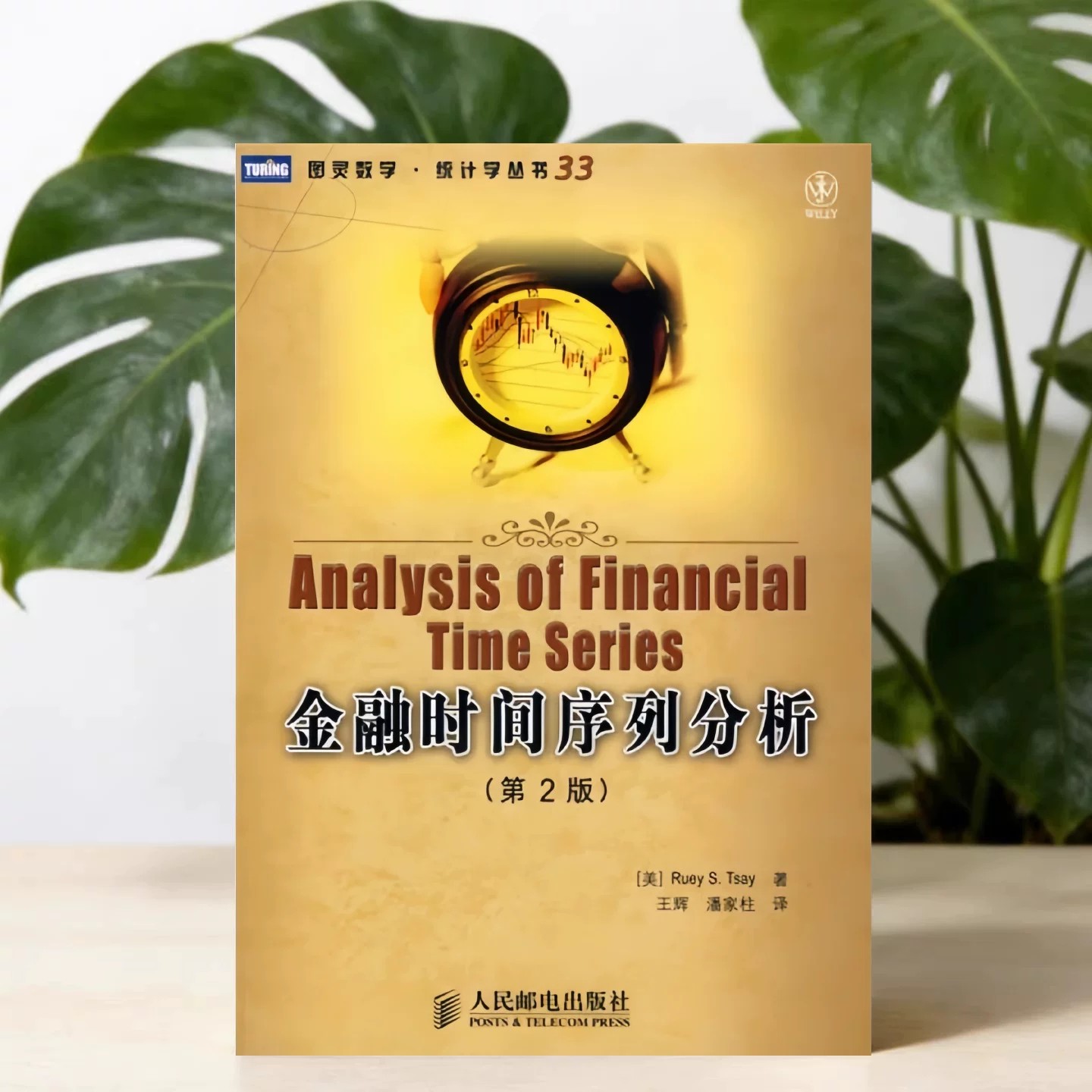金融时间序列分析蔡瑞胸著