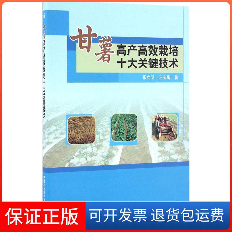 【保正版】甘薯产高栽培十大关键技术张立明,汪宝卿 著中国农业科学技术出版社9787511624444