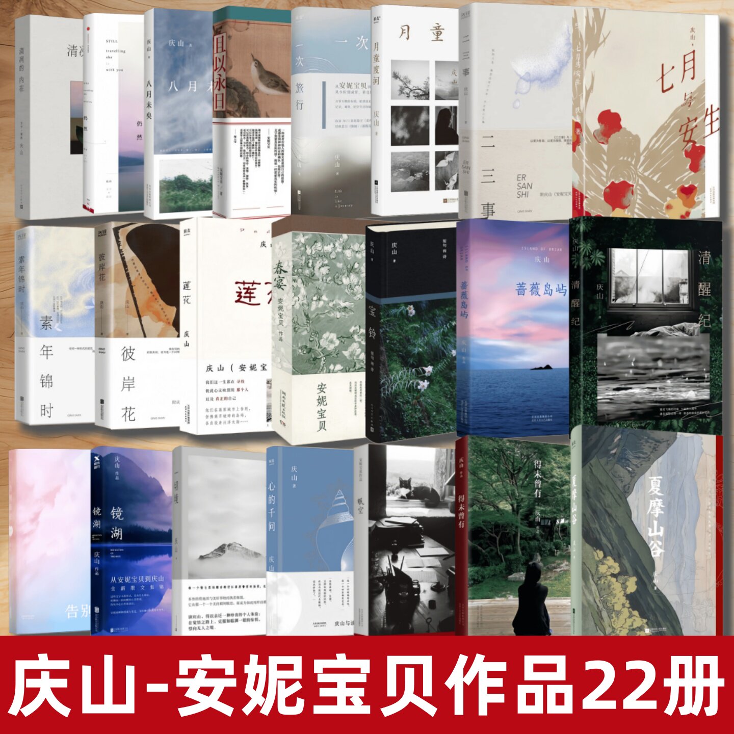 庆山安妮宝贝作品22册】夏摩山谷+七月与安生+告别薇安+心的千问+得未曾有+ 八月未央+月童度河+清冽的内在+且以永日+彼岸花