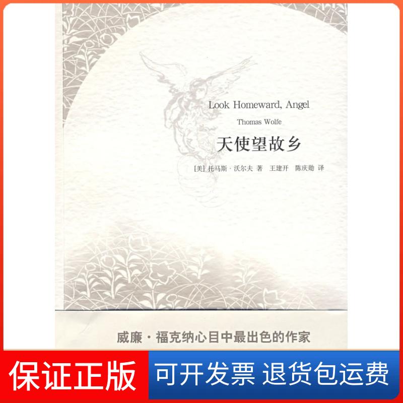 【保正版】天使望故乡(美)沃尔夫 著,王建开,陈庆勋 译上海译文出版社9787532748198