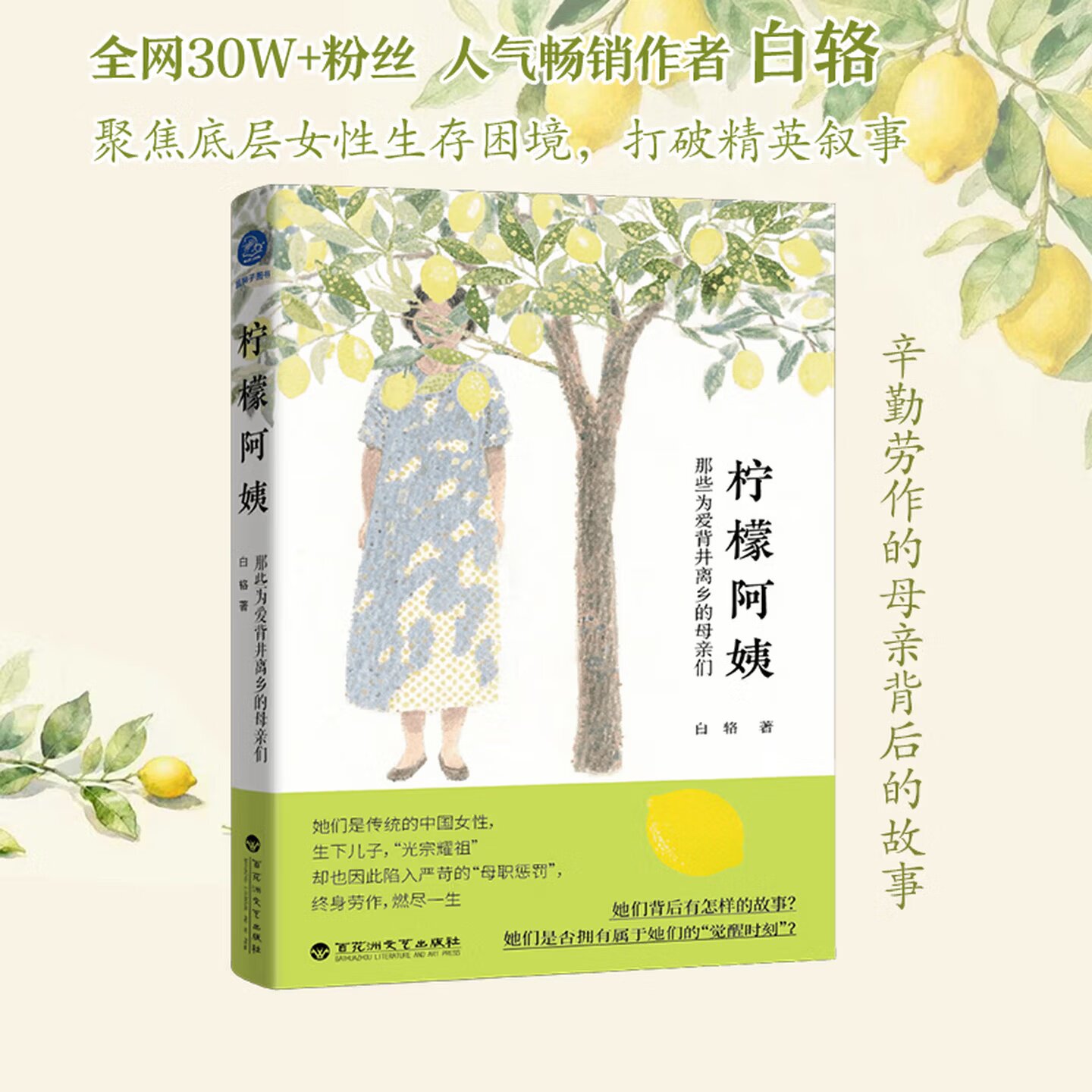 柠檬阿姨白辂百花洲文艺出版社