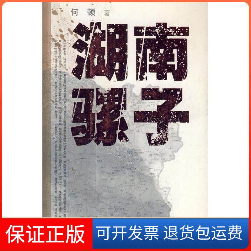 【保正版】湖南骡子何顿著人民文学出版社9787020085873