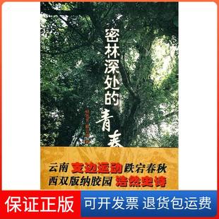 【保正版】密林深处的青春:知青西双版纳胶林春秋杨恩芳 赖云琪西南师范大学出版社9787562148029