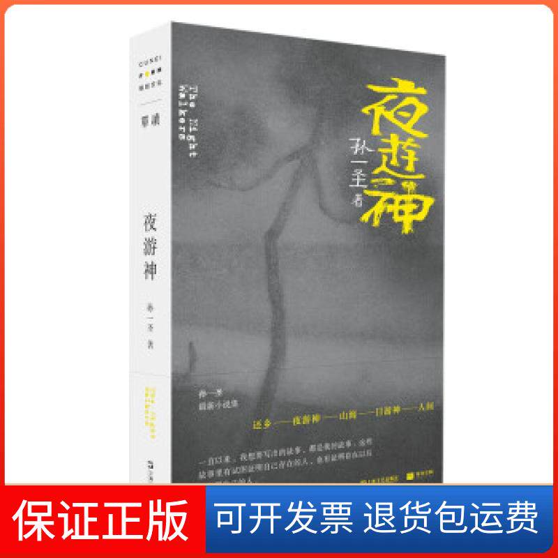 【保正版】夜游神孙一圣上海文艺出版社9787532180356