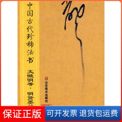 【保正版】中国古代珍稀法书——文徵明等明贤墨妙彭兴山美术出版社9787533027407