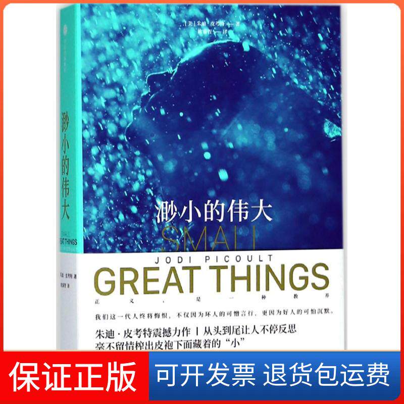【保正版】渺小的伟大(美)朱迪·皮考特(Jodi Picoult) 著；欧睿智 译中信出版社9787508686967