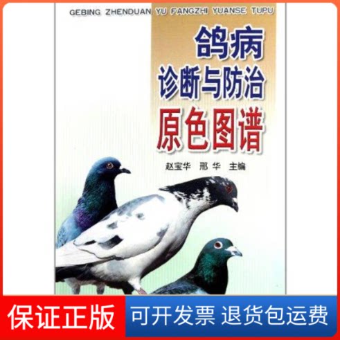 【保正版】鸽病诊断与防治原色图谱赵宝华 著金盾出版社9787508268934