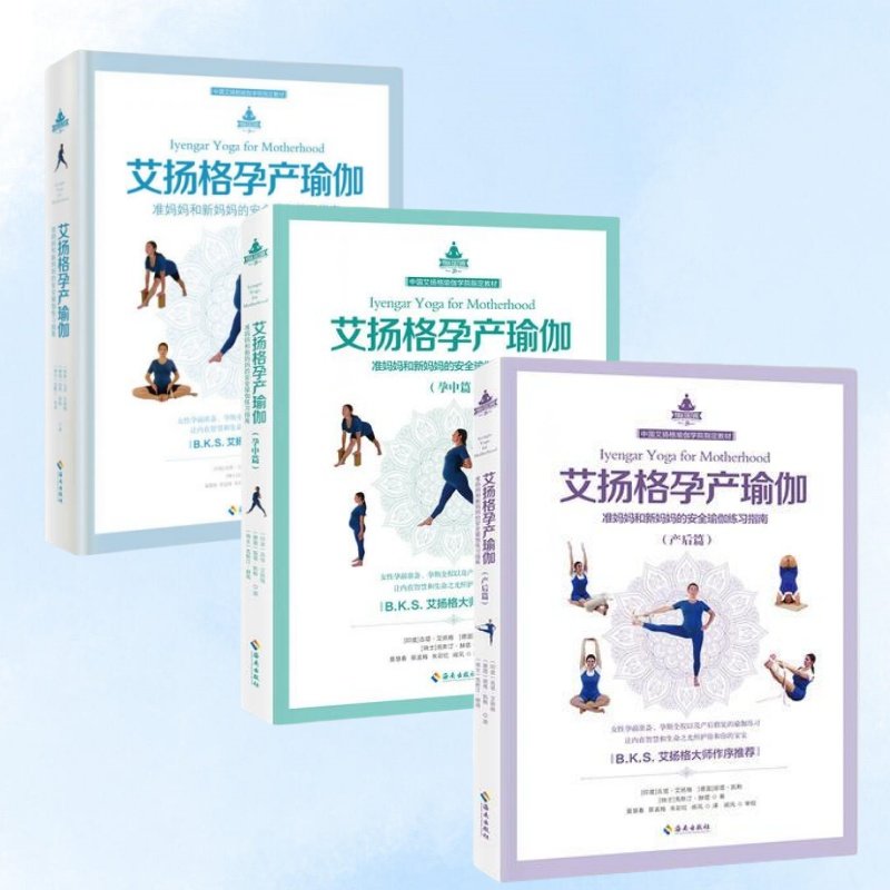 艾扬格孕产瑜伽全套三册任选】艾扬格孕产瑜伽+孕中篇+产后篇 艾扬格孕产瑜伽准妈妈和新妈妈的安全瑜伽练习指南 吉塔艾扬格著