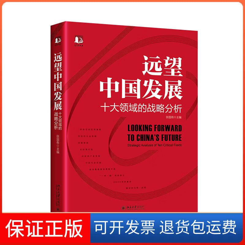 【保正版】远望中国发展——十大领域的战略分析张国有北京大学出版社9787301333662