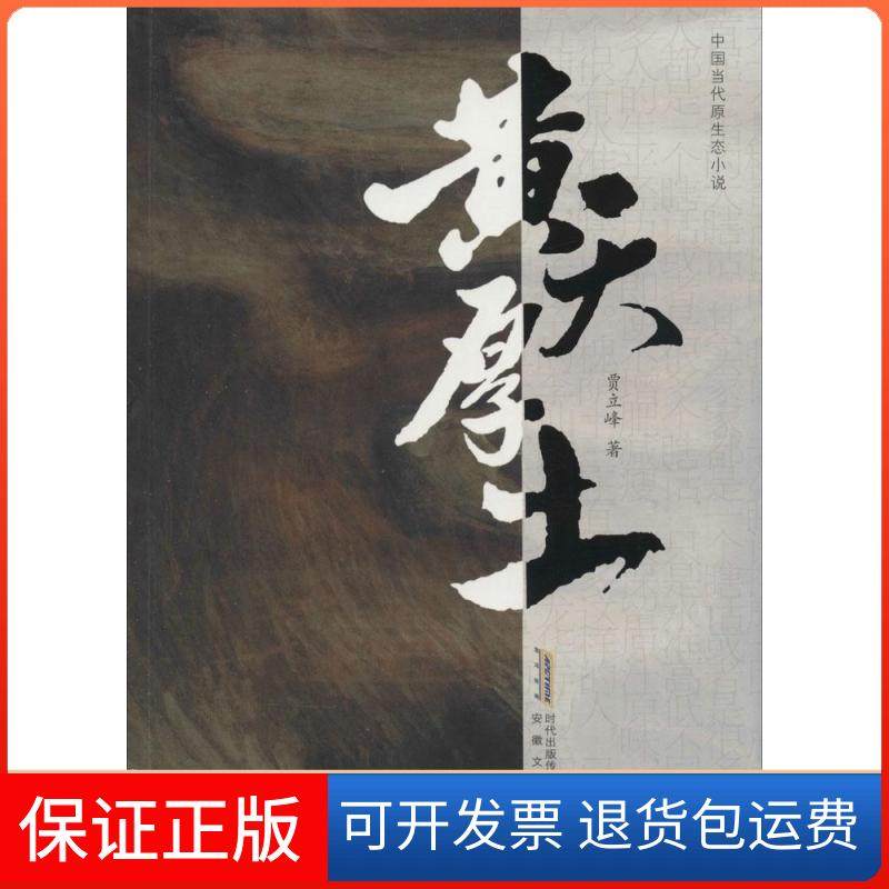 【保正版】黄天厚土贾立峰安徽文艺出版社9787539648897