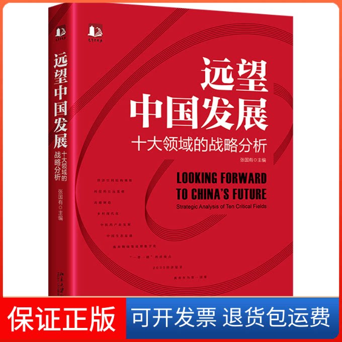 【保正版】远望中国发展——十大领域的战略分析张国有 编北京大学出版社9787301333662