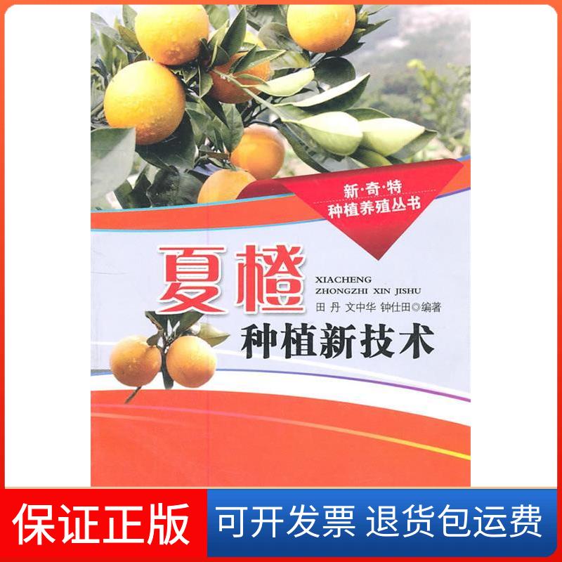 【保正版】夏橙种植新技术田丹湖北科学技术出版社9787535247551
