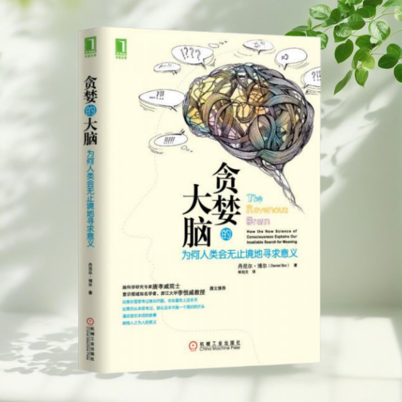 【保正版】贪婪的大脑为何人类会无止境地寻求意义丹尼尔博尔DanielBor林旭文机械工业出版社