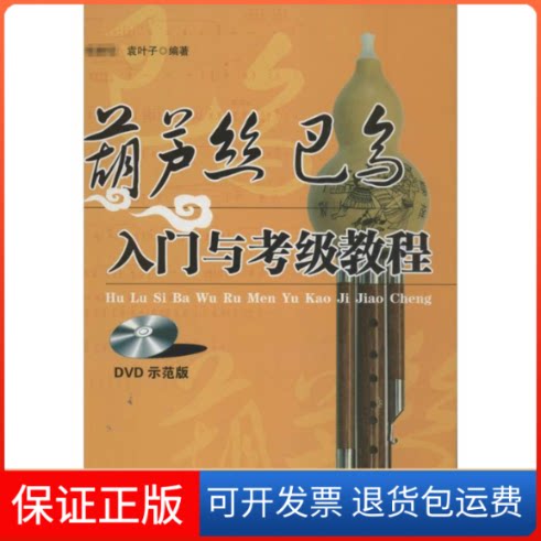 【保正版】葫芦丝巴乌入门与考级教程(DVD版)程,袁叶子 著作湖南文艺出版社9787540463953